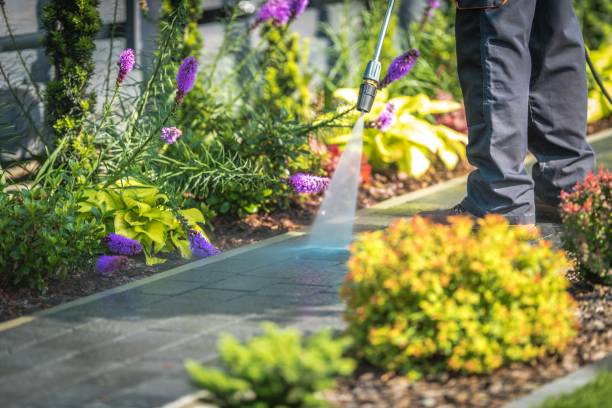 Best Patio and Deck Pressure Washing  in River Ridge, LA
